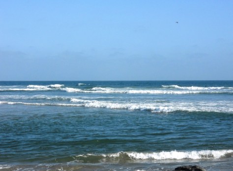 Hold fast to dreams For if dreams die Life is a broken-winged bird That cannot fly. Hold fast to dreams For when dreams go Life is a barren field Frozen with snow. Langston Hughes